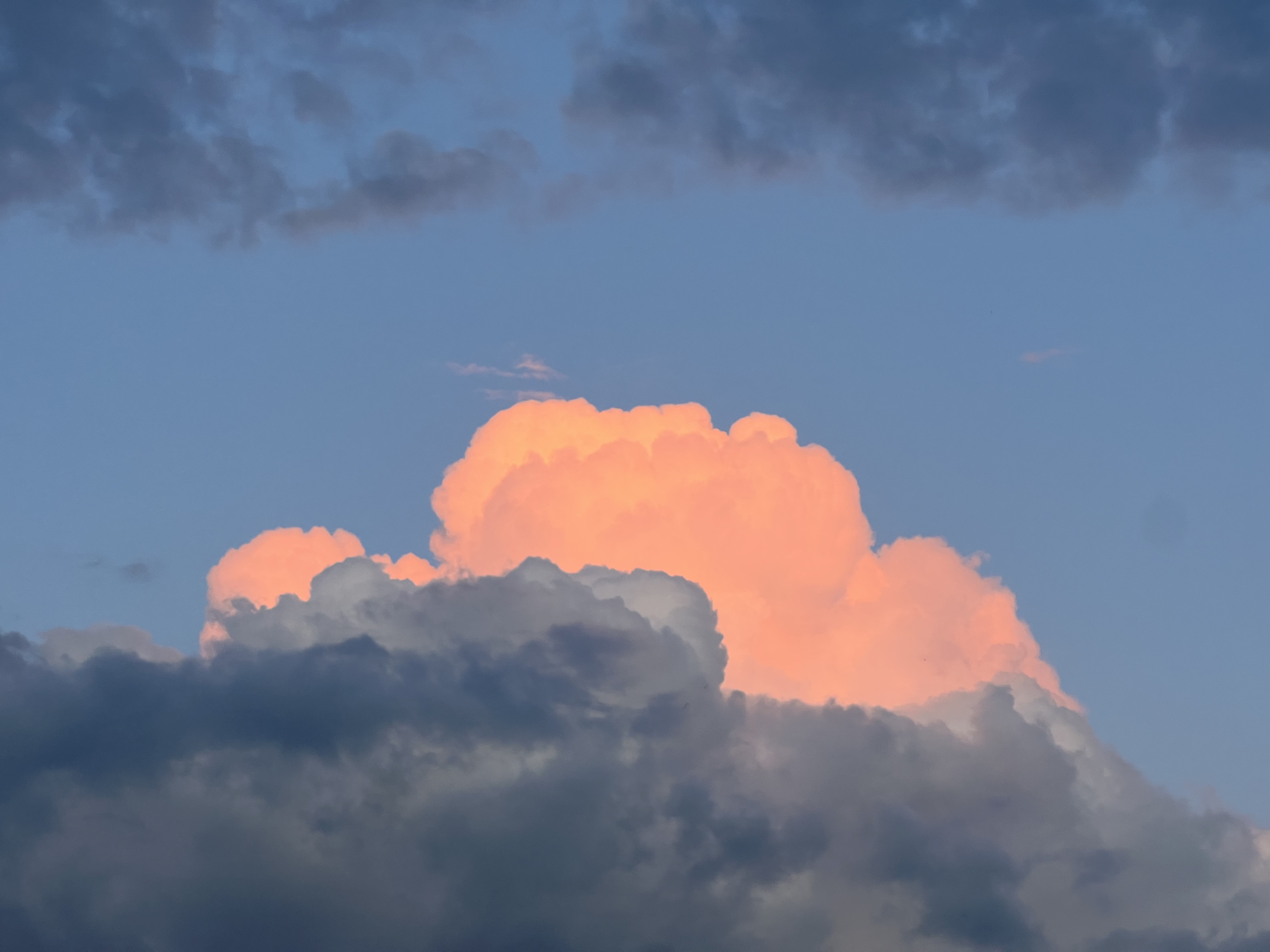 Pink fluffy clouds at sunset